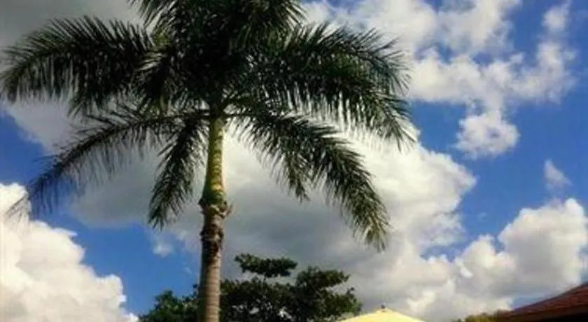 Gold Nugget Hotel Negril