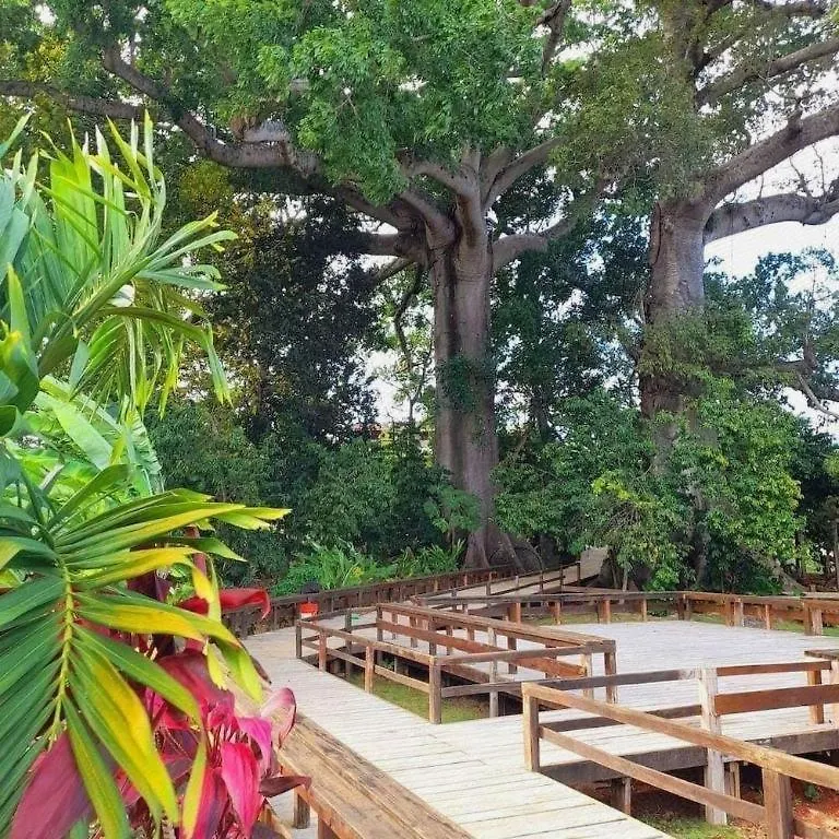 Gold Nugget Hotel Negril 3*,  Jamaica