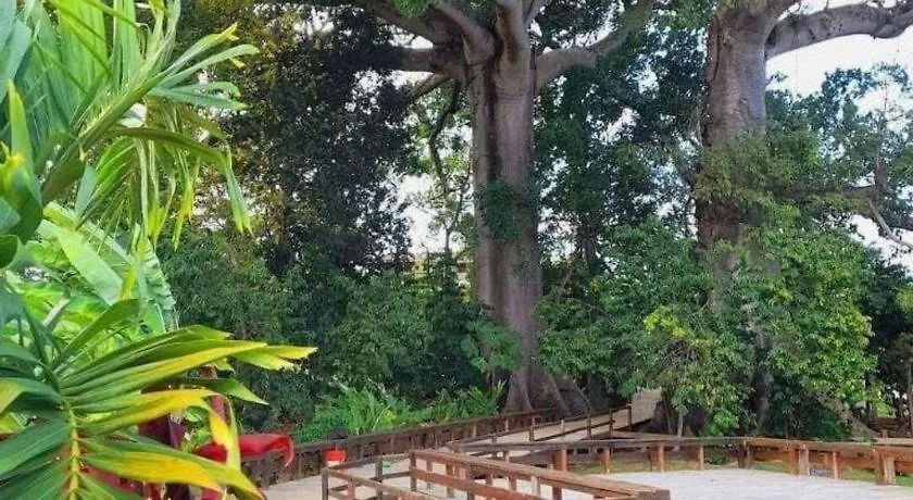 ***  Gold Nugget Hotel Negril Jamaica